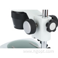 Binocular Stereo Microscope Student Electronic Microscope